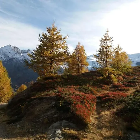Bambi Appartement-fewo 6-bettwohnung Nr- 1 By Interhome Appartamento Saas-Fee